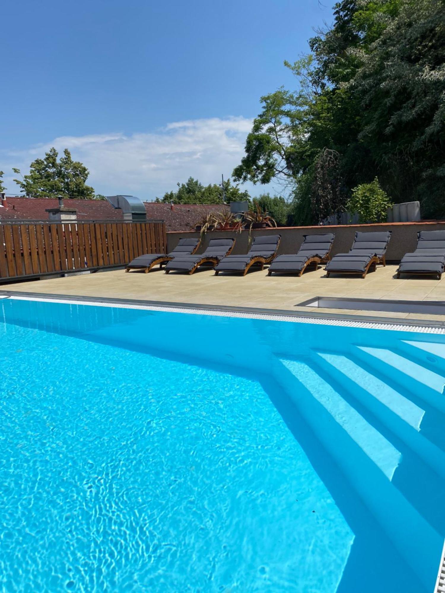 Rodinny Wellness Hotel U Langru Dolni Vestonice Exterior photo